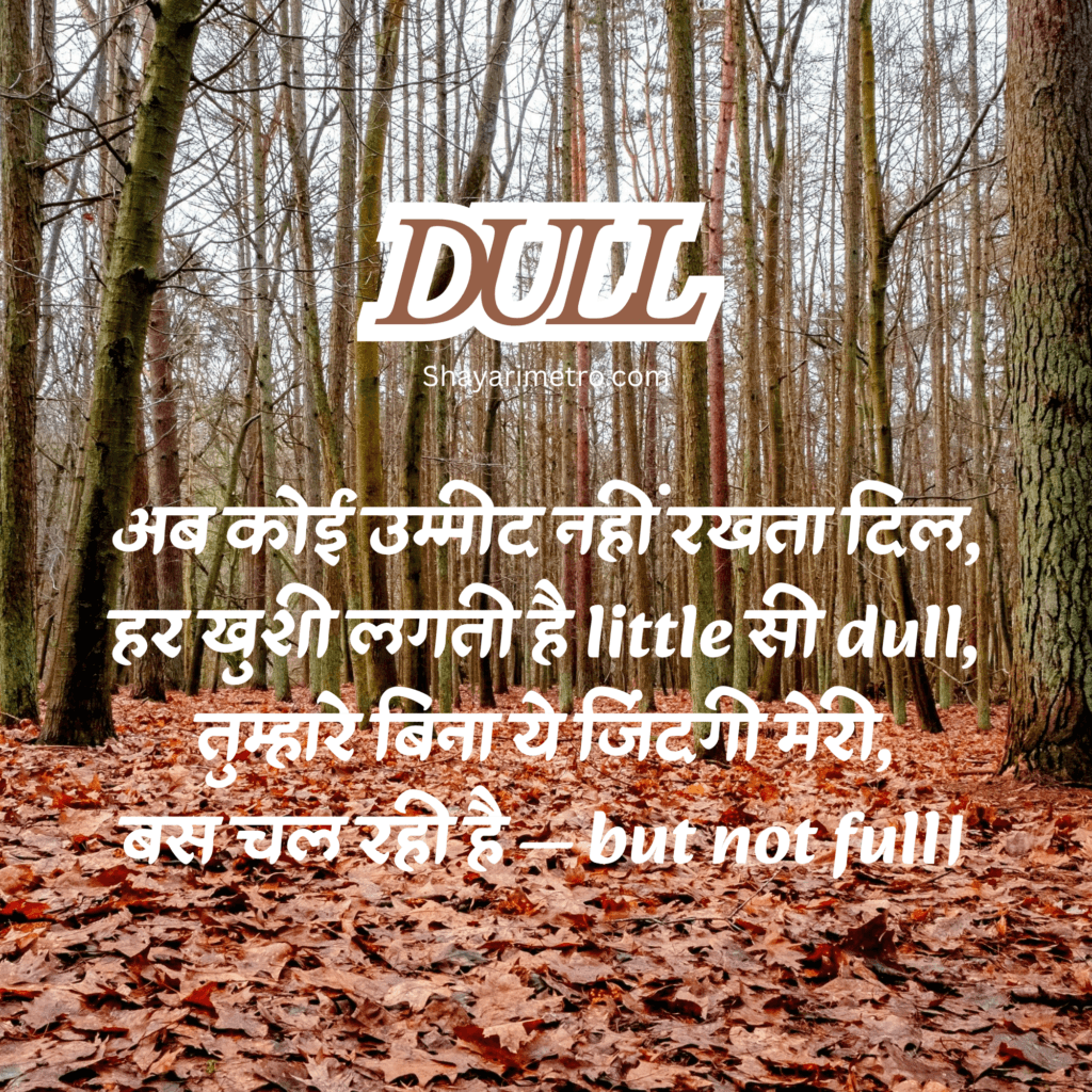 Latest 235+ Sad Shayari in Hindi 2026 17 Sad Shayari in Hindi 2026, Sad Shayari Hindi, Sad Shayari in Hindi English
Trending Sad Shayari Hindi ,
Sad Shayari in Hindi, Shayarimetro