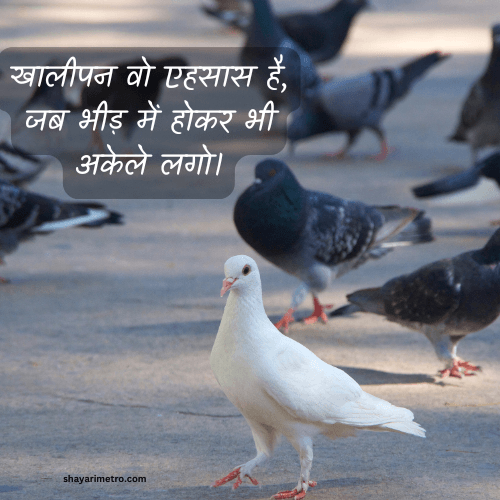 Best 500+ Feeling Quotes in Hindi | Feel Good Quotes 26 Feeling Empty Quotes in Hindi| Akela Ideas Deep Feeling Quotes in Hindi Feel Good Quotes Shayarimetro